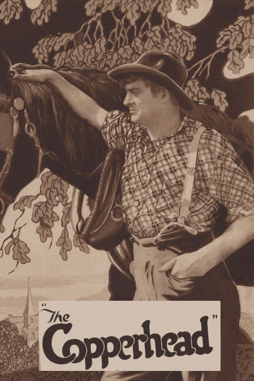 The Copperhead (1920) poster