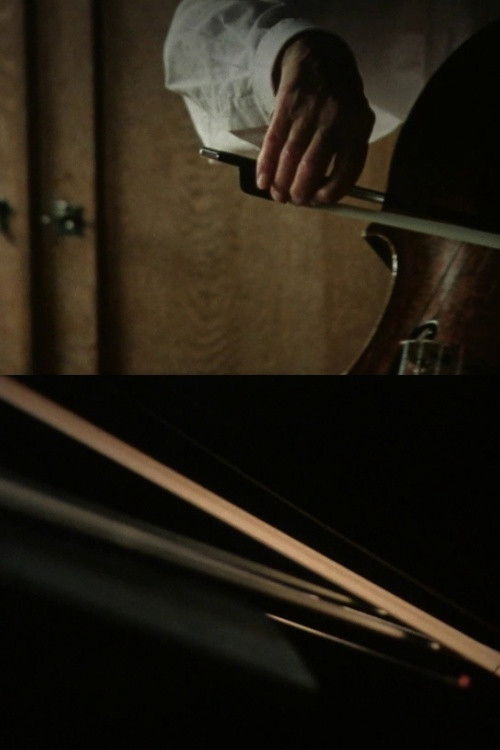 Listening to the Space in My Room (2013) poster