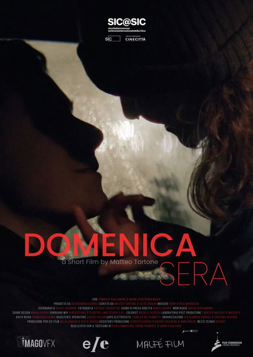 Domenica sera (2024) poster