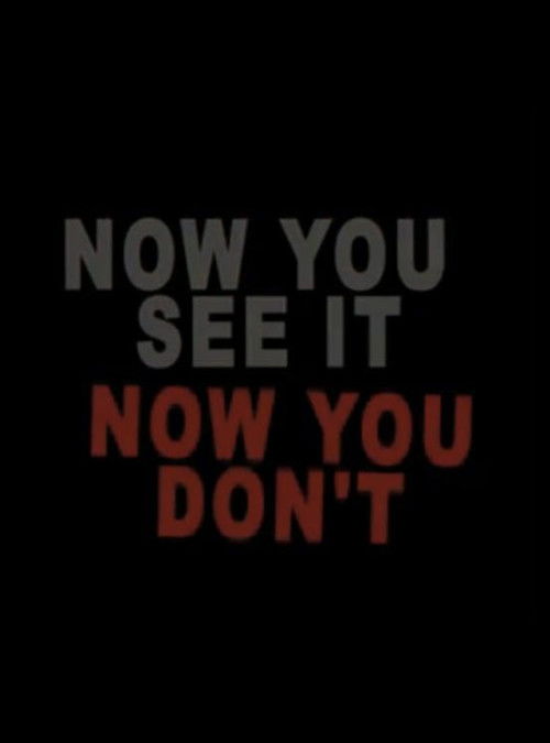 Now You See It Now You Don't poster