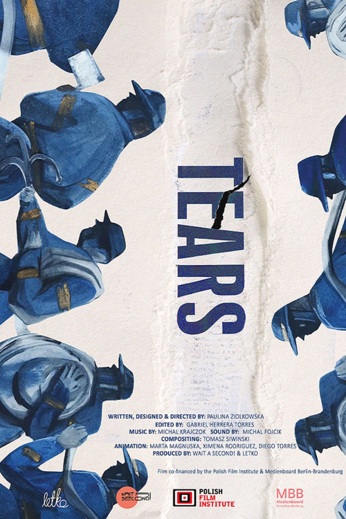 Rozdarcia (2025) poster