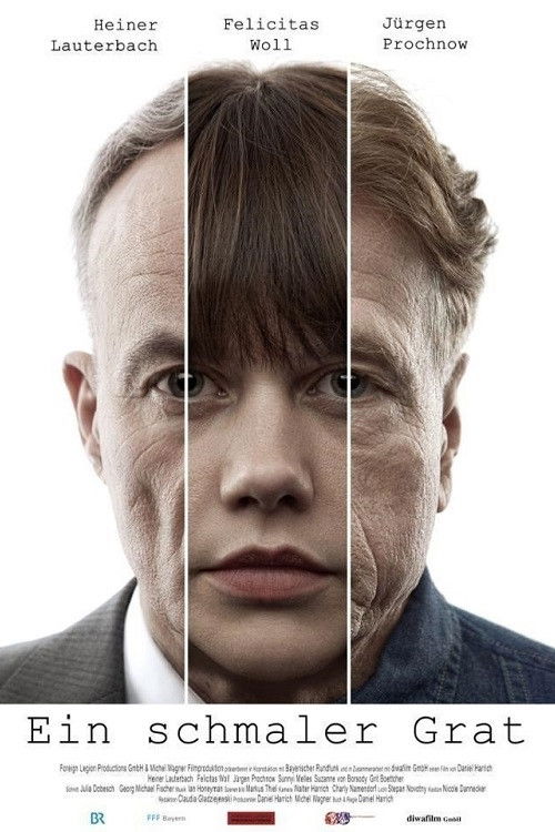 Ein schmaler Grat (2013) poster