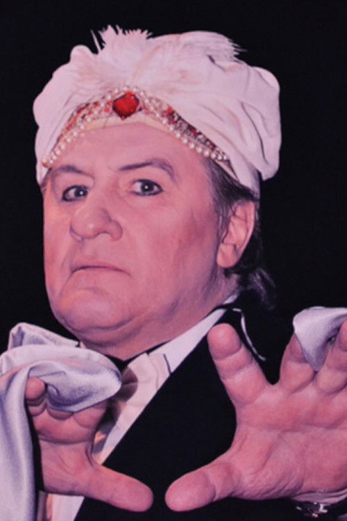 Le Magicien et les Siamois (2015) poster