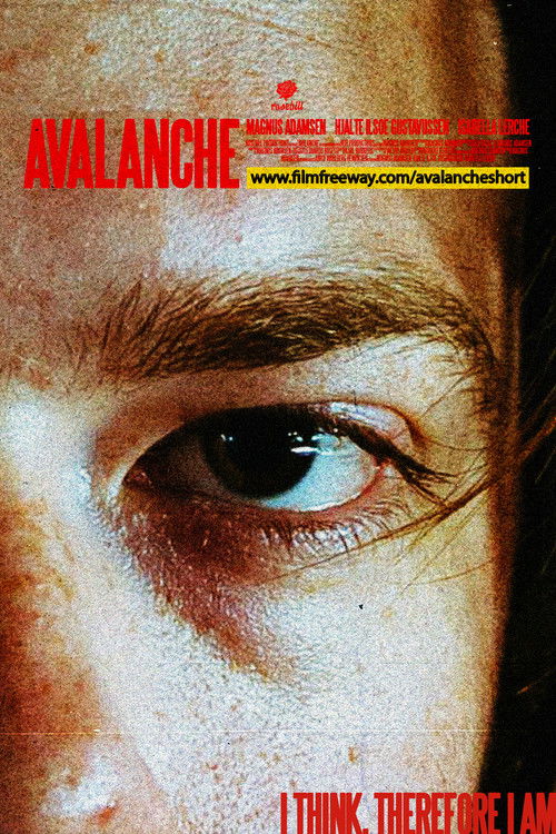 Avalanche (2024) poster