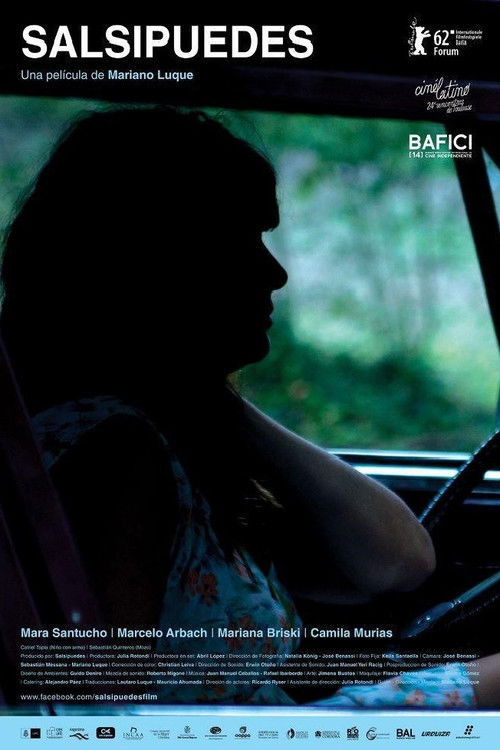 Salsipuedes (2012) poster
