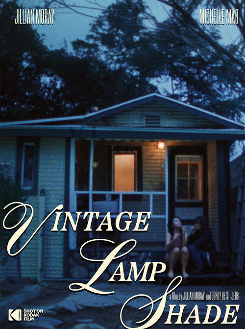 Vintage Lamp Shade (2024) poster