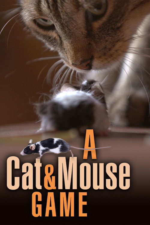 A Cat and Mouse Game (2019) poster