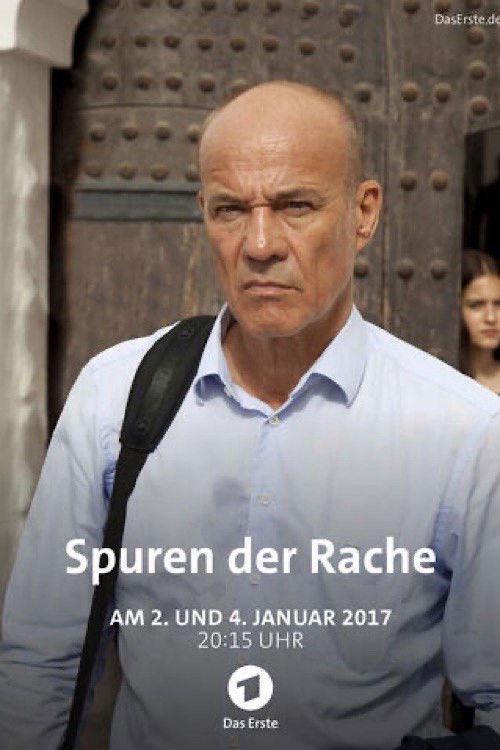 Spuren der Rache (2016) poster