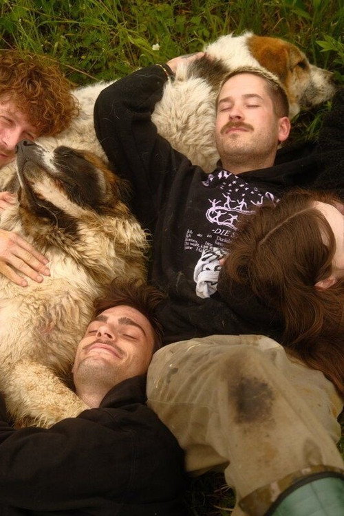 Animal Bridge - Every soul needs a home (2025) poster