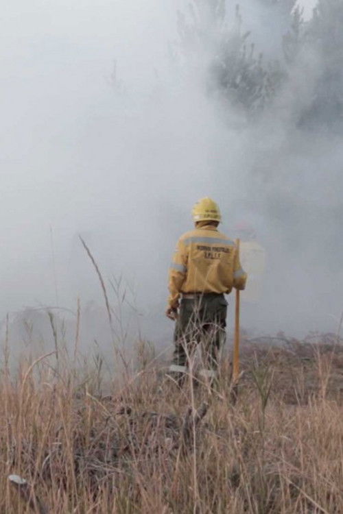 El fuego que vimos poster