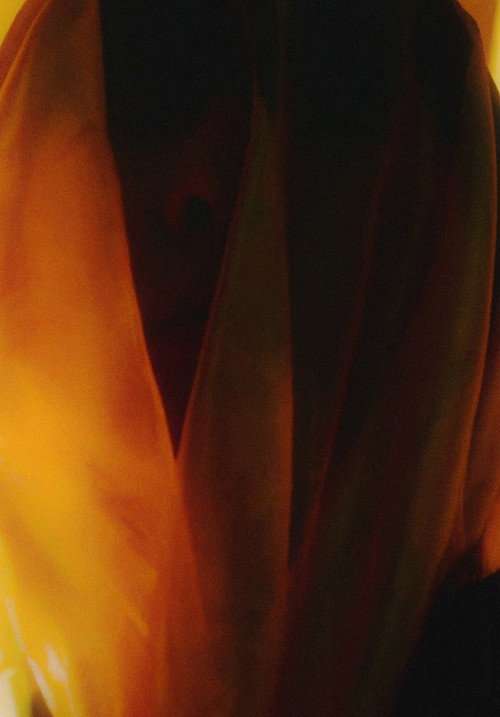 the House of Horror (2021) poster