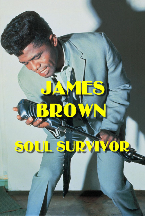 James Brown: Soul Survivor (2003) poster