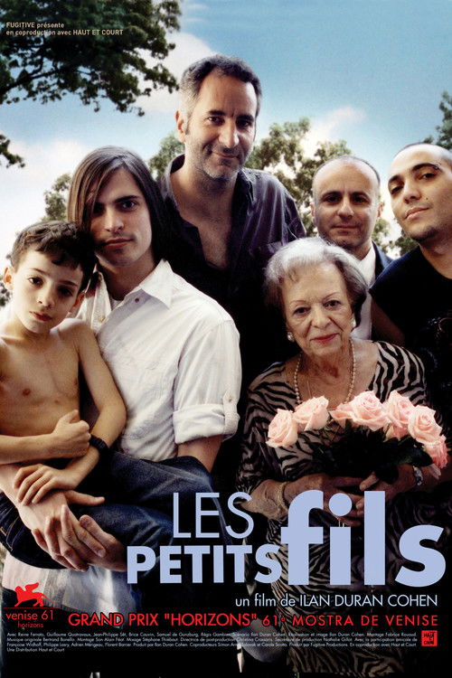 Les petits fils (2004) poster