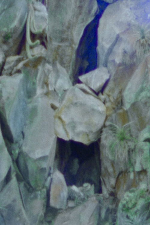 Rumiqolqa (2017) poster