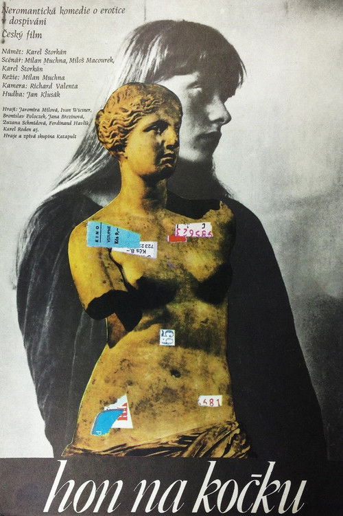 Hon na kočku (1980) poster