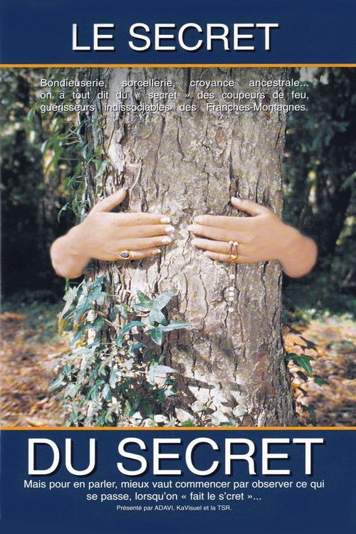 The Secret of the Secret (2000) poster