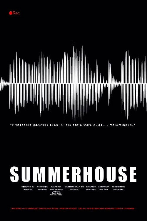 Summerhouse (2018) poster