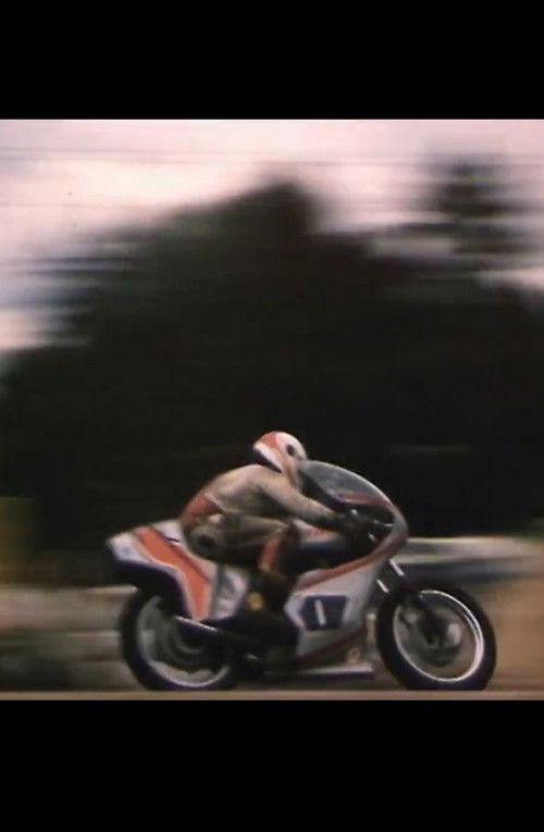 Ringrada (1985) poster