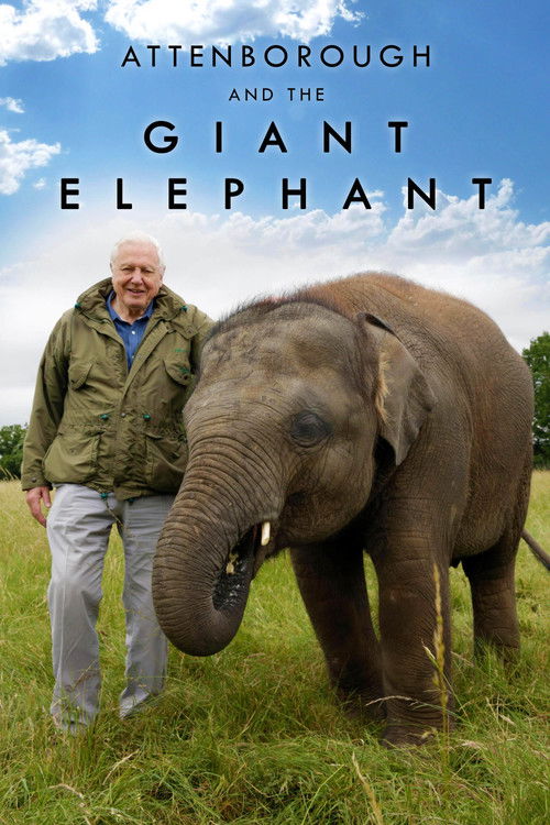 Attenborough and the Giant Elephant (2017) poster