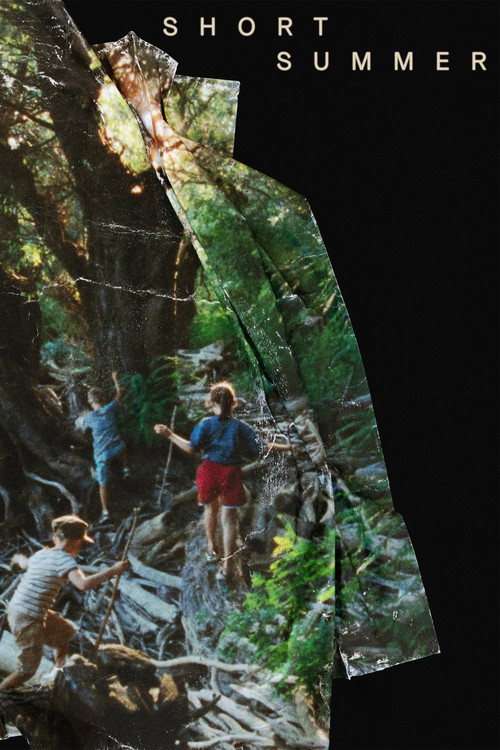 Short Summer (2025) poster