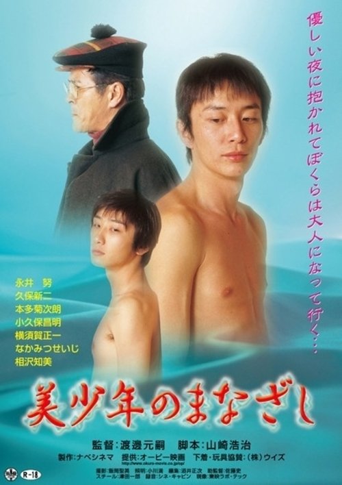 The Gaze of a Beautiful Boy (2003) poster