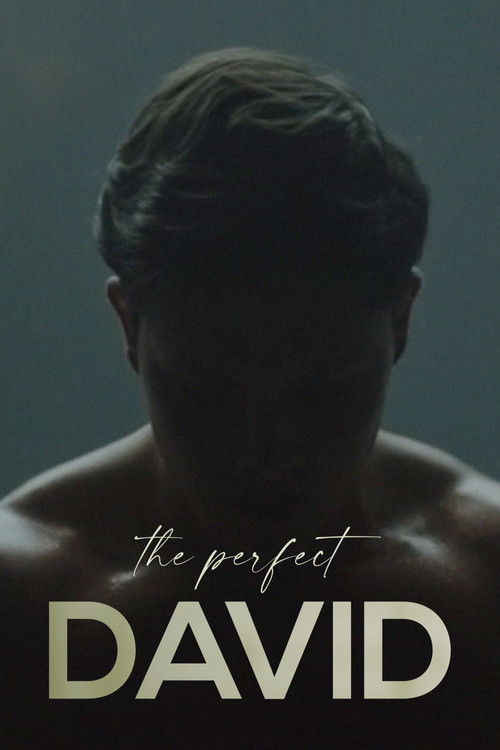 El perfecto David (2021) poster