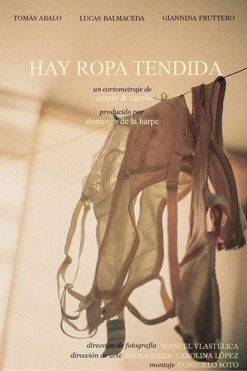 Hay ropa tendida (2020) poster