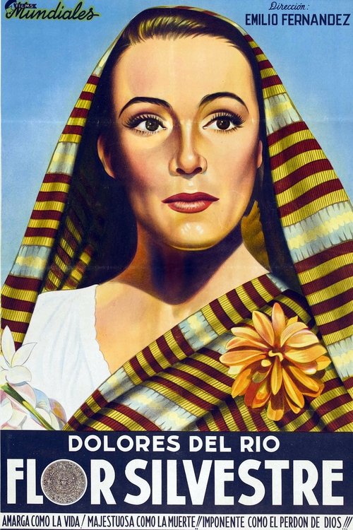 Wild Flower (1943) poster