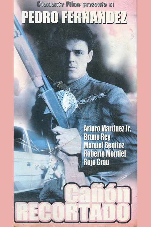 Cañón recortado (1992) poster