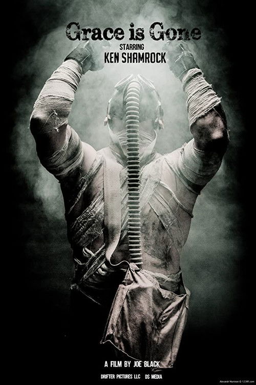 Grace is Gone (2019) poster