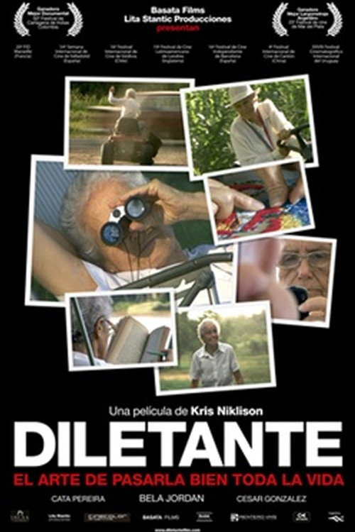 Diletante (2008) poster