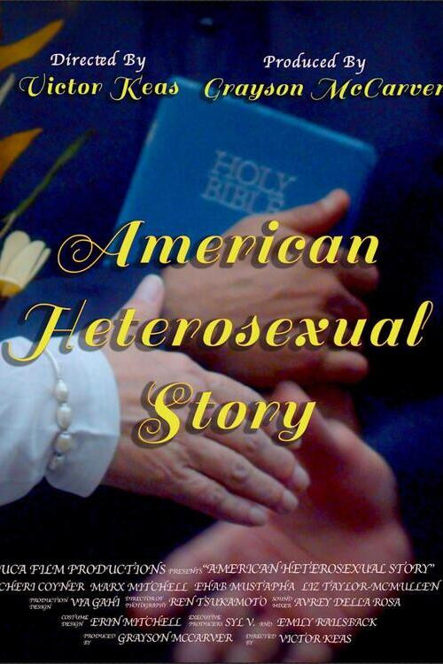 American Heterosexual Story (2024) poster