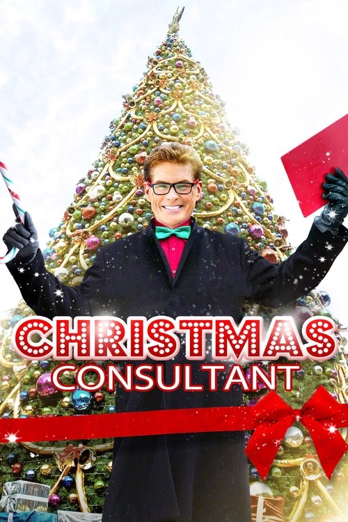 The Christmas Consultant (2013) poster