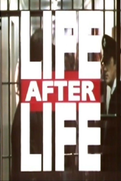 Life After Life (1995) poster