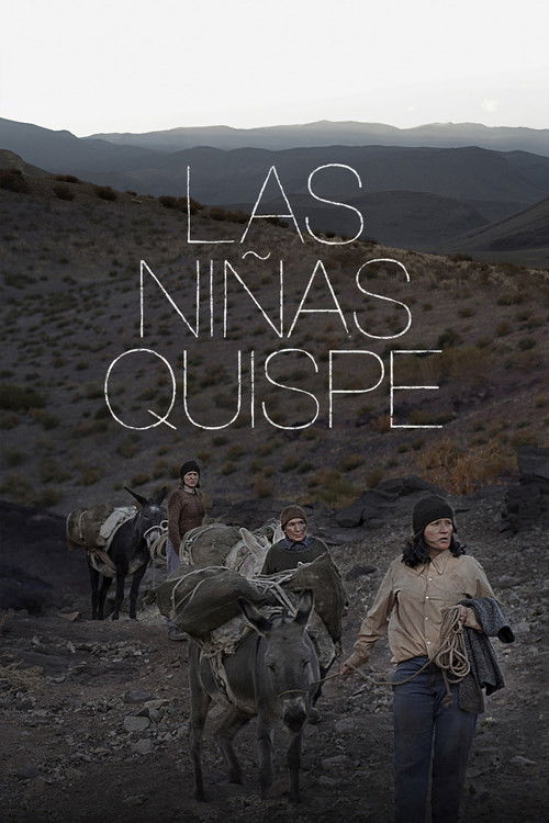The Quispe Girls (2013) poster