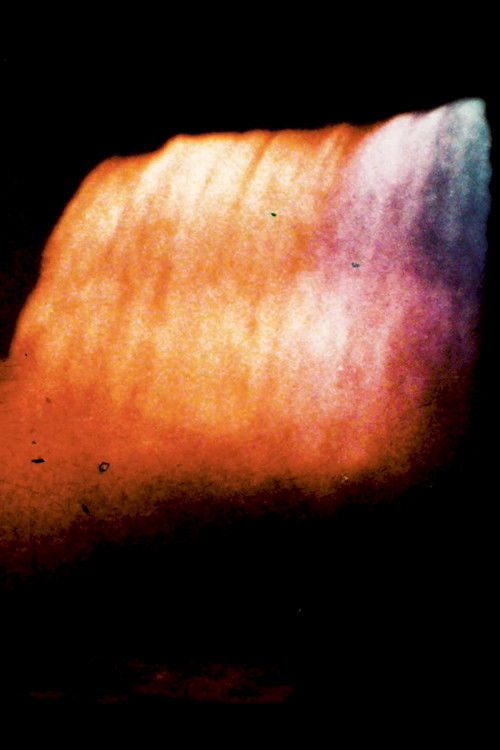 Cascade des Oiseaux (2020) poster