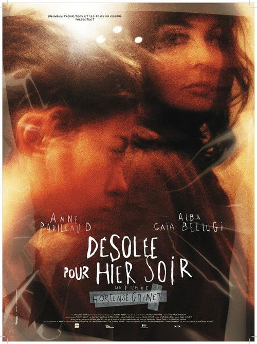 Désolée pour hier soir (2013) poster