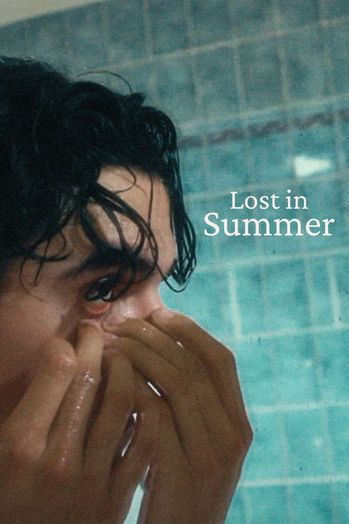 Lost in Summer (2025) poster