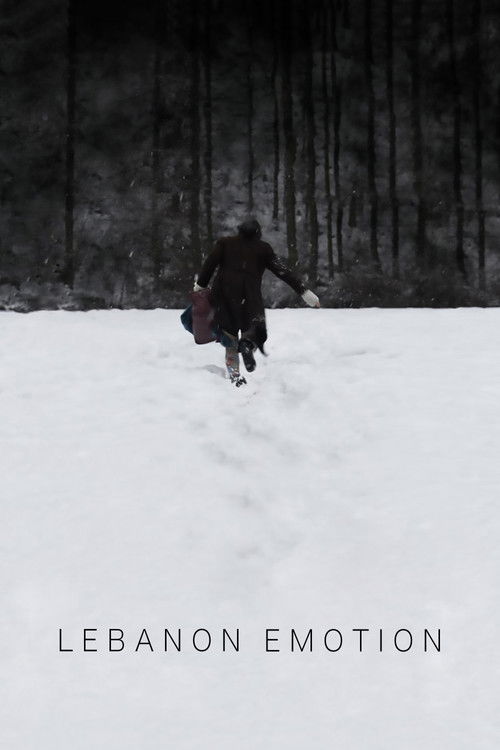 레바논 감정 (2013) poster