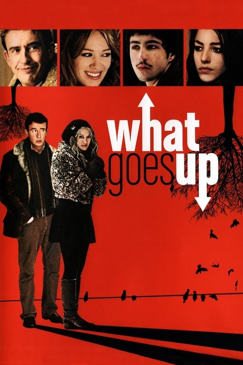 What Goes Up (2009) poster