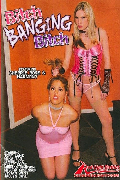 Bitch Banging Bitch (2006) poster