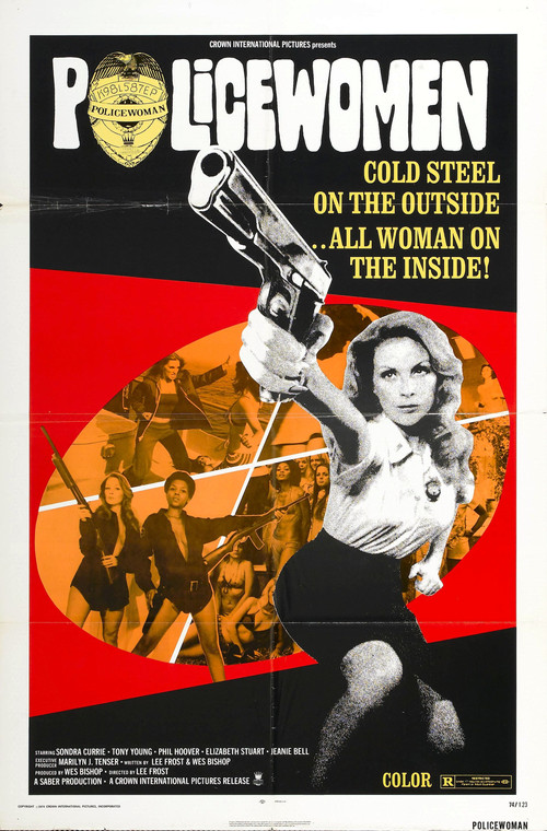 Policewomen (1974) poster