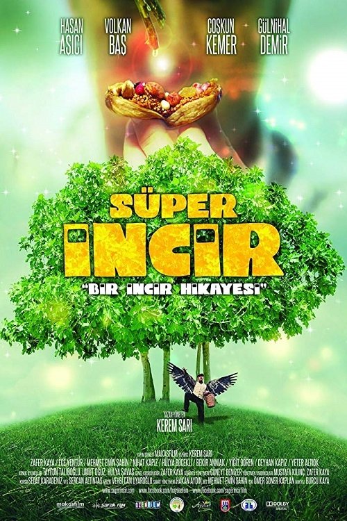 Super Fig (2013) poster