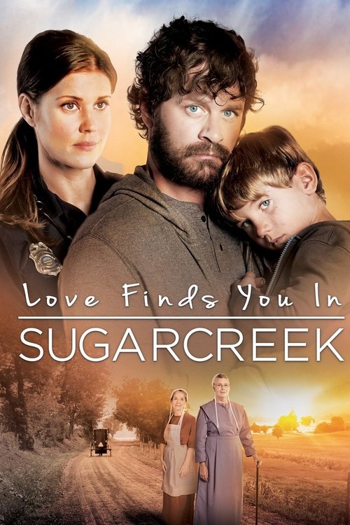 Love Finds You In Sugarcreek (2014) poster