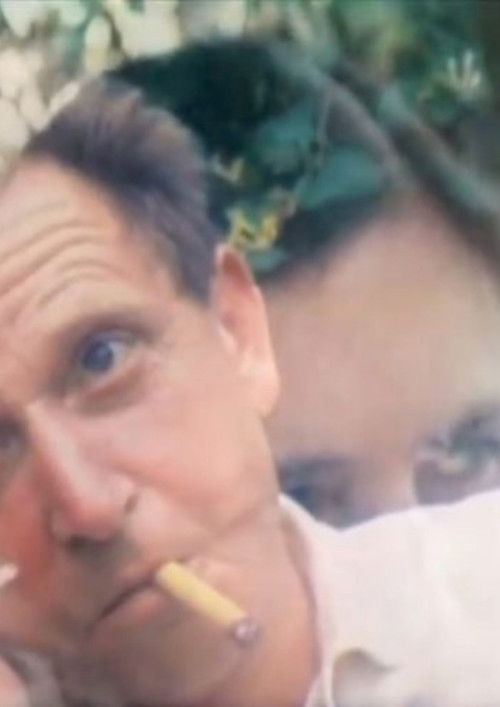 S et H (2020) poster