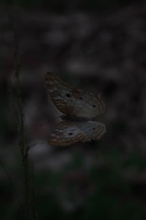 Háblame (2021) poster