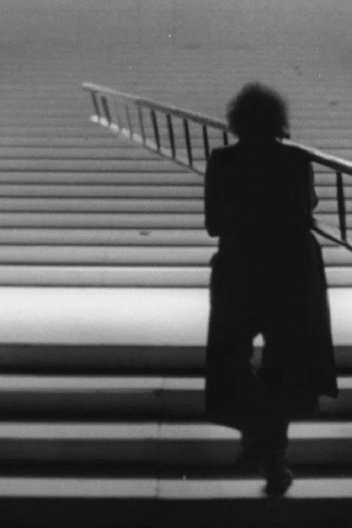 The Great Occasion (1973) poster