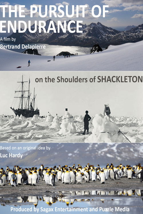 The Pursuit of Endurance (2015) poster