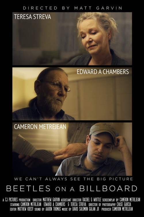 Beetles on a Billboard (2023) poster