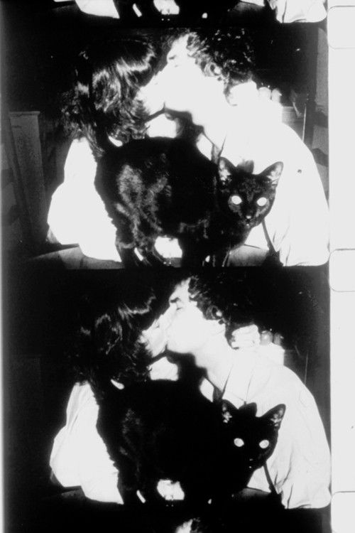 The Lighted Field (1987) poster